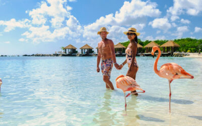 Save 5% off 7 night stays