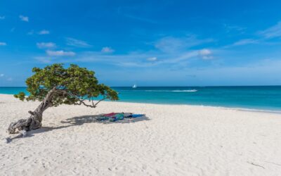 The Ultimate Beach Lover’s Guide to the Best Beaches on Aruba