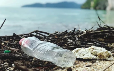 How the Global Waste Problem Affects the Tropics and What You Can Do as a Visitor in Aruba