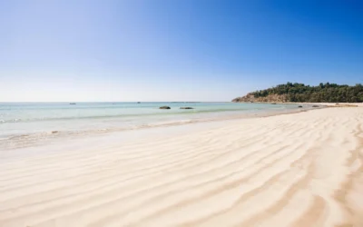Seeing the Best of Aruba without Harming What Makes It Beautiful